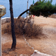 Artwork from The Eye's Intention: The Photographs and Collages of Ar at 601 Artspace